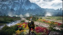 Understanding The Witcher 3's lore through its plant life