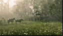 Cowboys conducting business in a meadow