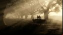 Driving a carriage down a tree-lined road